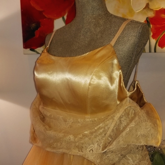 💃Host Pick! Vintage Style Golden Tulle Dress🧚‍♀️ - Picture 3 of 8